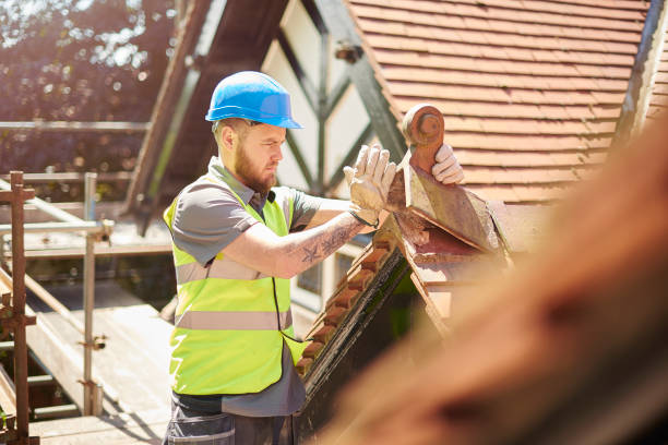 Best Roof Gutter Cleaning  in Camp Swift, TX